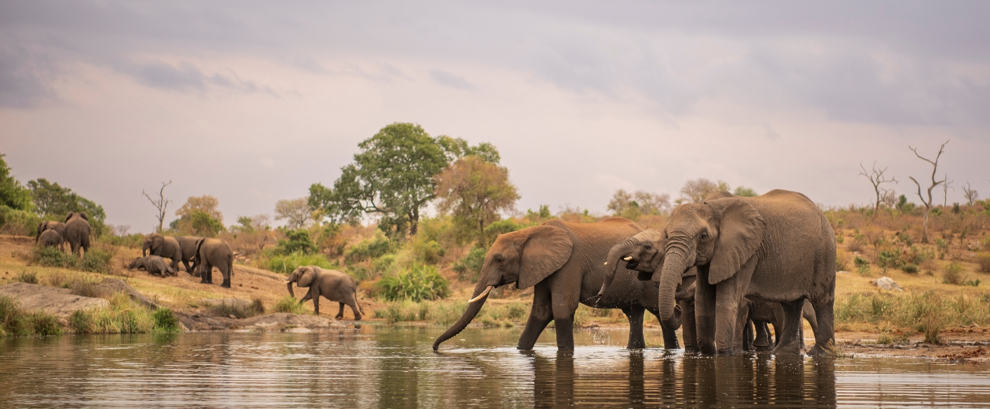 Anno-scolastico-all-estero-sudafrica-1
