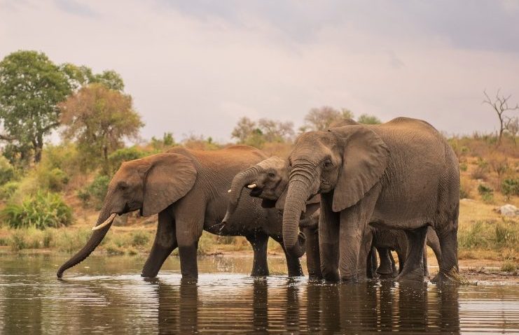 Sudafrica