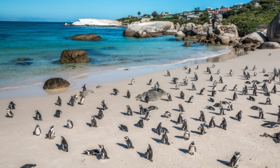 anno-all-estero-sudafrica3